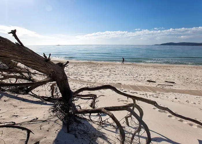 B&B Alice's House 3*