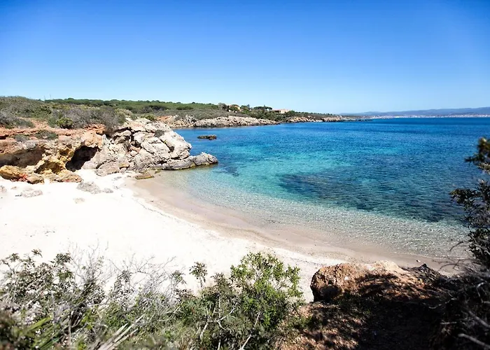 B&B Alice's House 알게로