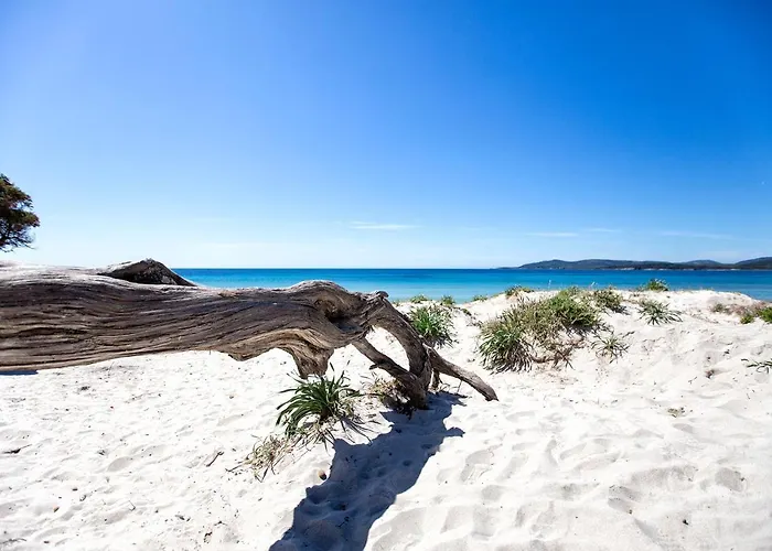 Alice's House 알게로